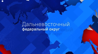 Экономические и социально-политические аспекты развития Дальневосточного Федерального округа