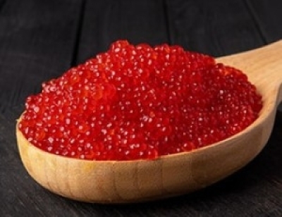 Caviar Humanism